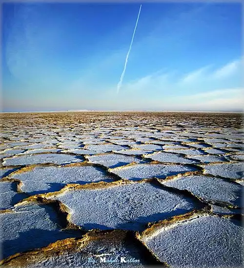 معنی کلمه دق در فرهنگ عمید