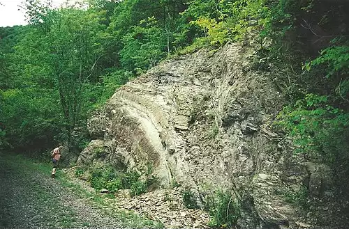 معنی کلمه تاقدیس در دانشنامه عمومی