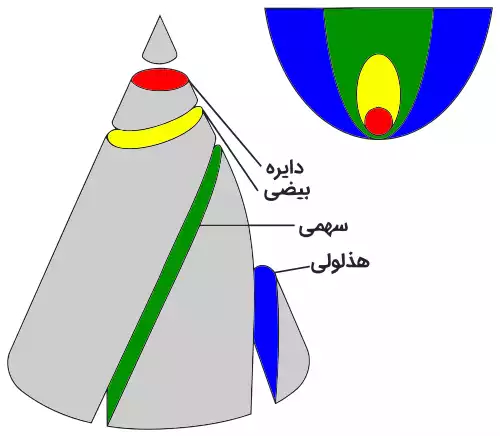 بیضی