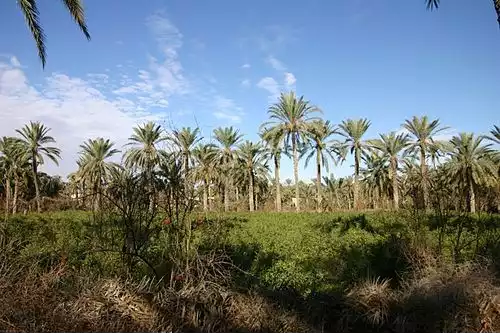 معنی کلمه قابس در فرهنگ فارسی