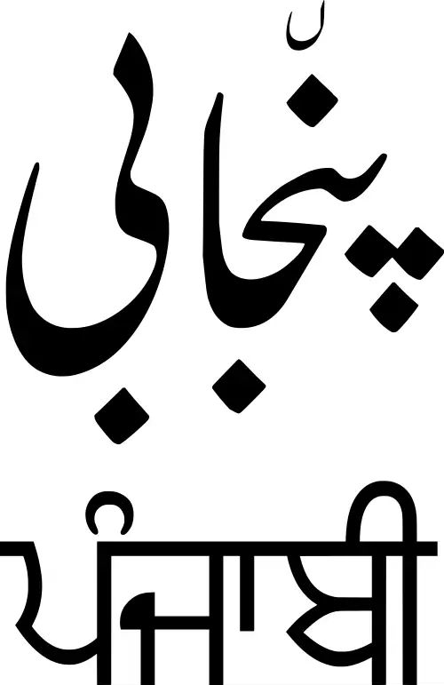 زبان پنجابی