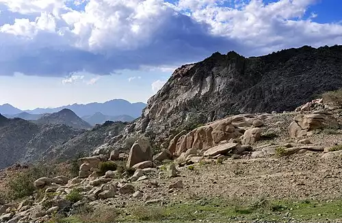 معنی کلمه طائف در دانشنامه عمومی