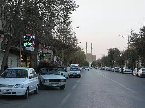 معنی کلمه شاهدباز در دانشنامه عمومی