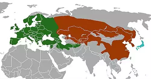 معنی کلمه رودک در فرهنگ عمید