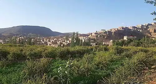 معنی کلمه شاخن در لغت نامه دهخدا