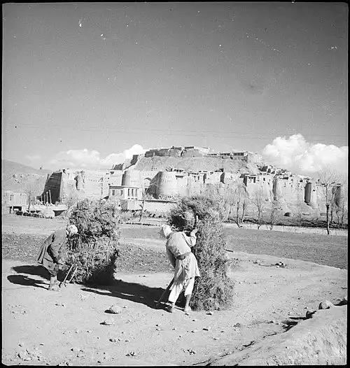 معنی کلمه غزنی در دانشنامه عمومی