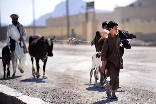 معنی کلمه فراه در لغت نامه دهخدا