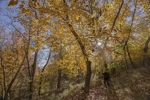 معنی کلمه قاهان در دانشنامه عمومی