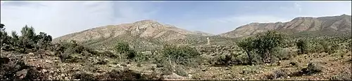 معنی کلمه سروستان در دانشنامه عمومی