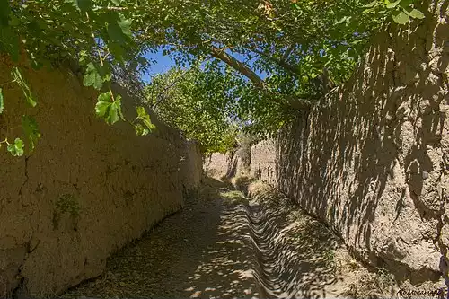 معنی کلمه ساغند در دانشنامه عمومی