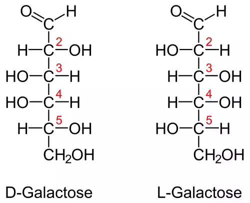 معنی کلمه گالاکتوز در فرهنگ معین
