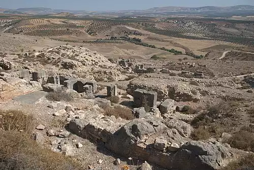 معنی کلمه نصیبین در فرهنگ فارسی