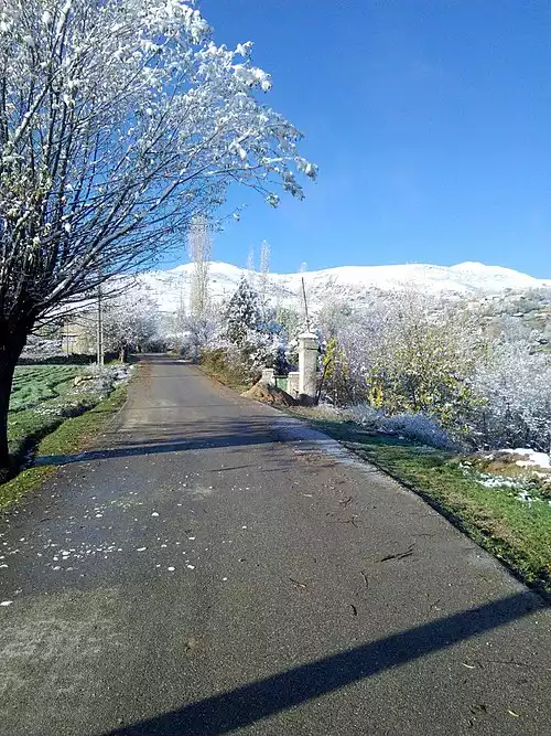 معنی کلمه آرا در دانشنامه عمومی