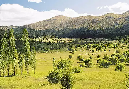 معنی کلمه آرکادیا در دانشنامه آزاد فارسی