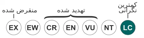 اردک ماهی