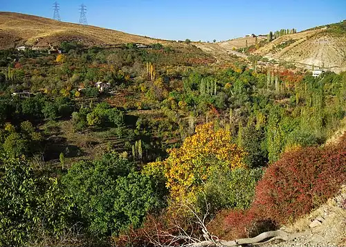 جملاتی از کاربرد کلمه ايرا