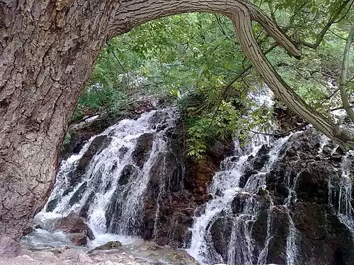 معنی کلمه بار در فرهنگستان زبان و ادب