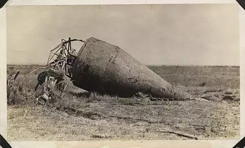 معنی کلمه بویه در فرهنگ اسم ها