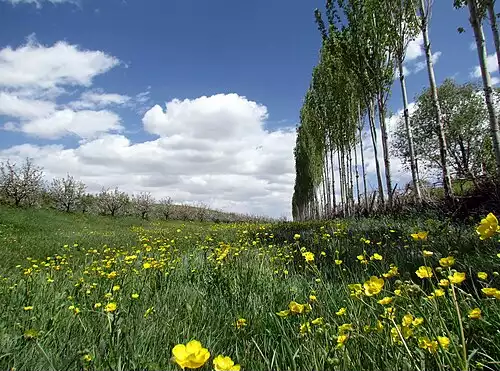 معنی کلمه پرچین در لغت نامه دهخدا