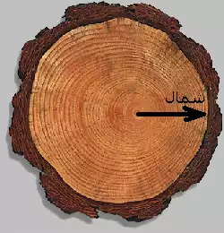 معنی کلمه جهت یابی در ویکی واژه