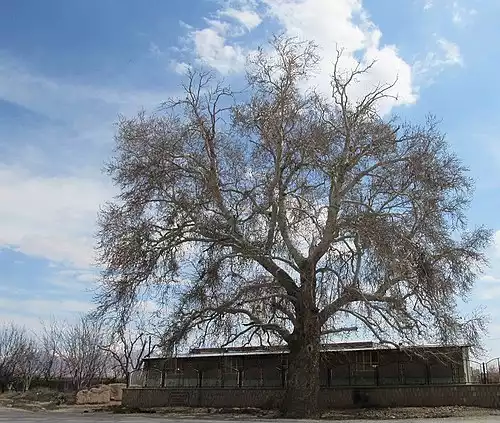 معنی کلمه جوشقان در دانشنامه عمومی