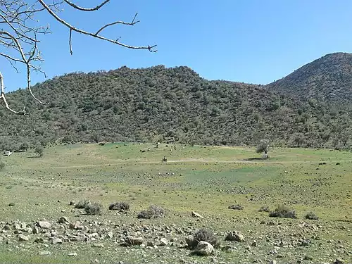 معنی کلمه خاوران در دانشنامه عمومی