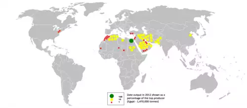 معنی کلمه خرما در فرهنگ عمید