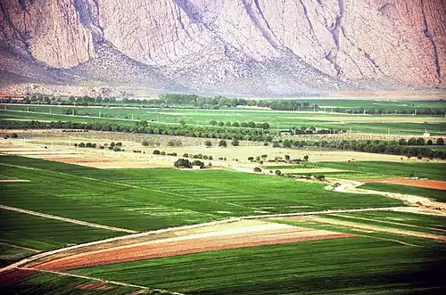 معنی کلمه دشتک در لغت نامه دهخدا