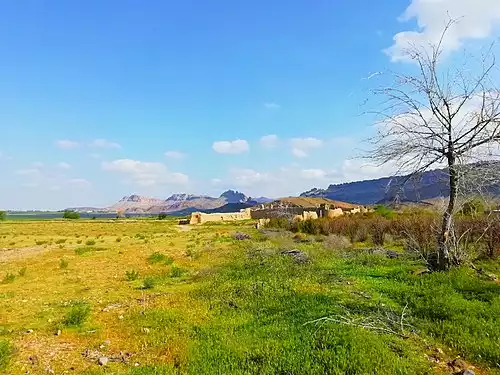 معنی کلمه زنبورک در دانشنامه عمومی