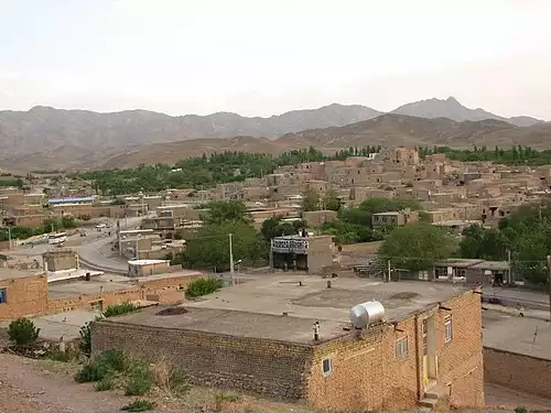 معنی کلمه ساق در فرهنگ معین