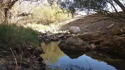 معنی کلمه سامان در دانشنامه عمومی