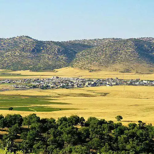 معنی کلمه سرمست در دانشنامه عمومی