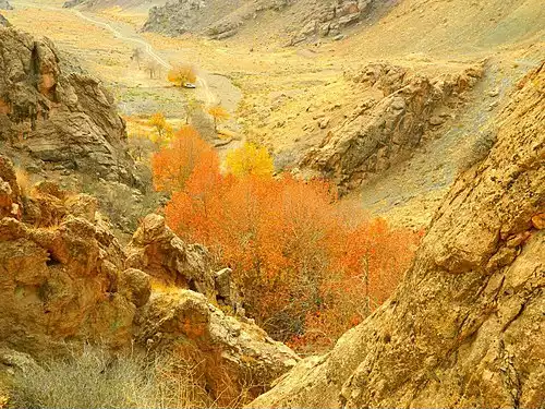 معنی کلمه سلیمانی در فرهنگ عمید