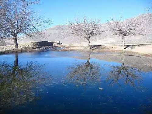 معنی کلمه سلیمانی در دانشنامه عمومی