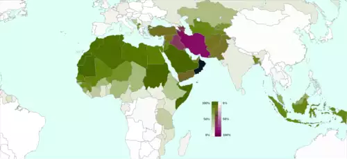 معنی کلمه سنی در فرهنگ معین