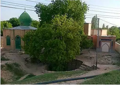 معنی کلمه شیروان در دانشنامه آزاد فارسی