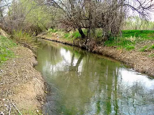 جملاتی از کاربرد کلمه صالح اباد