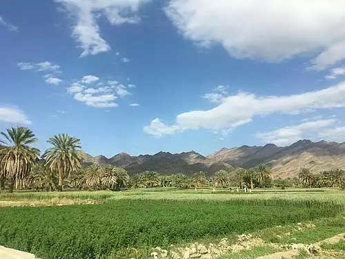 معنی کلمه گشت در فرهنگستان زبان و ادب