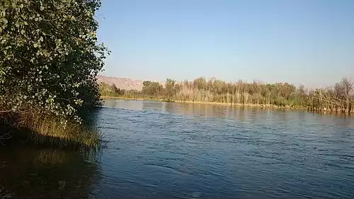 معنی کلمه مارون در لغت نامه دهخدا