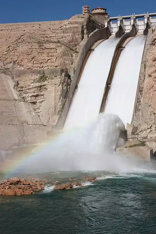 معنی کلمه مارون در دانشنامه عمومی