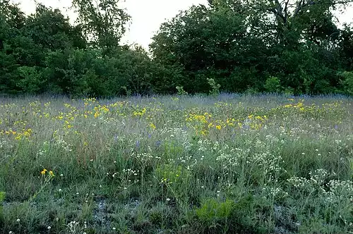 معنی کلمه مرغزار در لغت نامه دهخدا