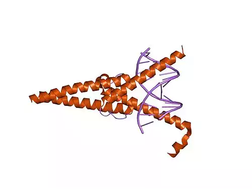 معنی کلمه مکس در لغت نامه دهخدا