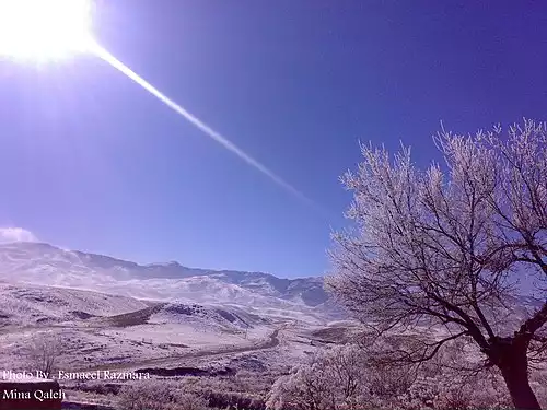 معنی کلمه مینا در فرهنگ معین