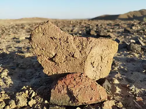 معنی کلمه ناي در فرهنگستان زبان و ادب