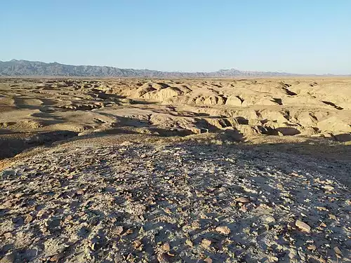 معنی کلمه نای در فرهنگ معین