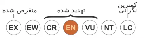 معنی کلمه گورخر گروی در فرهنگستان زبان و ادب