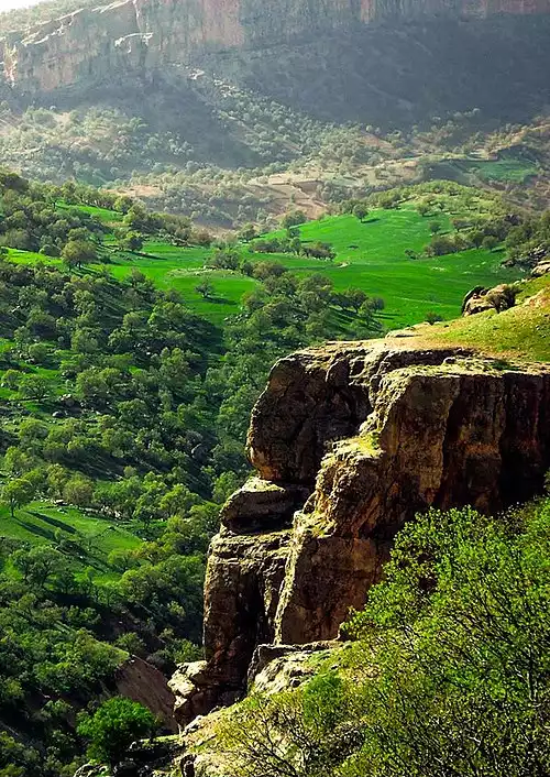 جملاتی از کاربرد کلمه پراشکفت