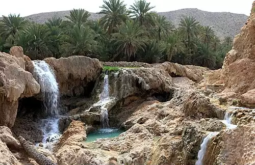 معنی کلمه گنو در لغت نامه دهخدا