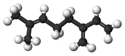 معنی کلمه میرسن در لغت نامه دهخدا