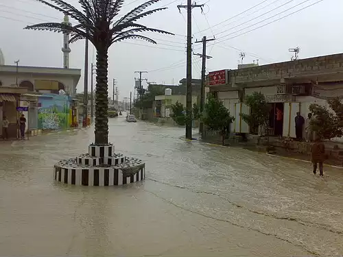 معنی کلمه نخل تقی در دانشنامه عمومی